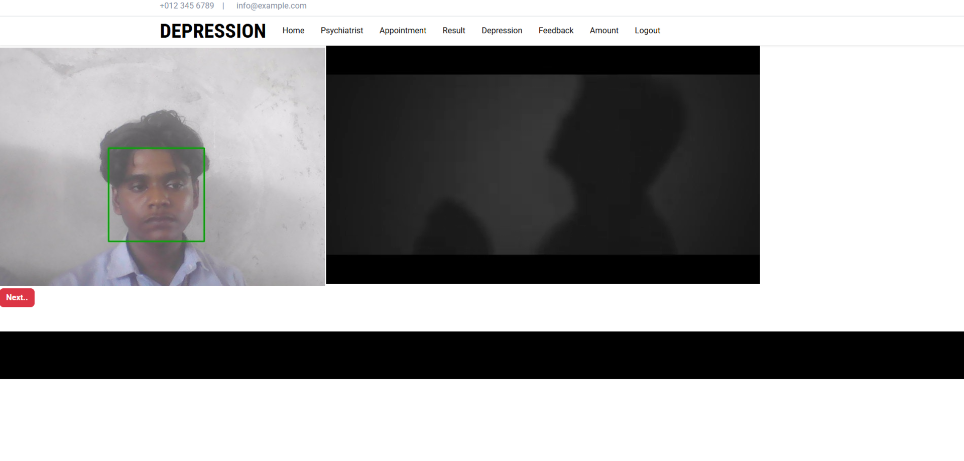 Depression Detection Screenshot 3